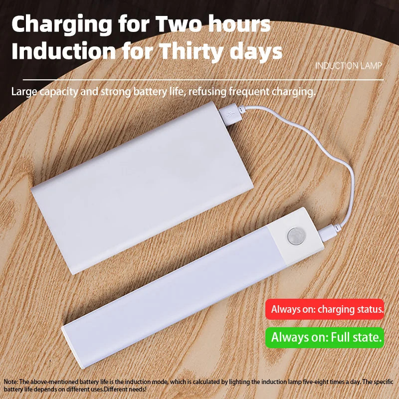 LumiSense USB Rechargeable Motion Sensor Light