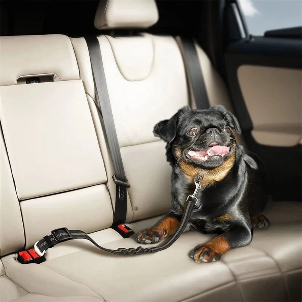SafePup Adjustable Reflective Dog Seat Belt